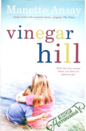 Vinegar hill - Ansay Manette