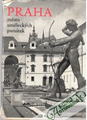 Praha - město uměleckých památek - Pavel Jakub