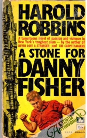 A Stone for Danny Fisher - Robbins Harold