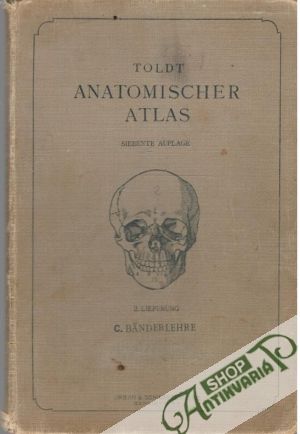 Toldt anatomischer atlas II. - Toldt Carl
