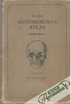 Toldt anatomischer atlas V. - Toldt Carl