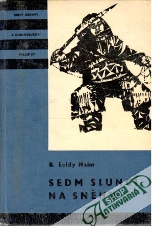 Sedm sluncí na sněhu - Naim Teldy R.