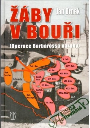 Žáby v bouři - Drnek Jan