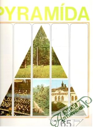 Pyramída 65 - Kolektív autorov