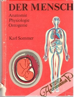 Der Mensch - Anatomie, Physiologie, Ontogenie - Sommer Karl