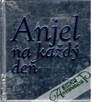 Anjel na každý deň - McGerr Angela