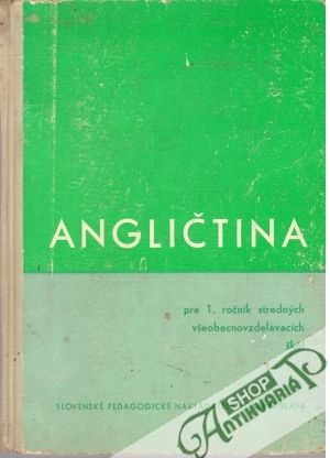 Angličtina pre 1.ročník SVŠ - Kolektív autorov