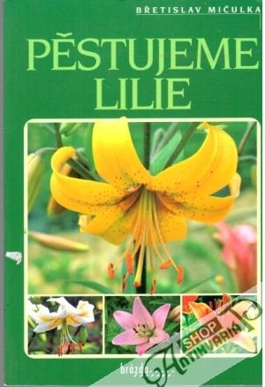 Pěstujeme lilie - Mičulka Břetislav
