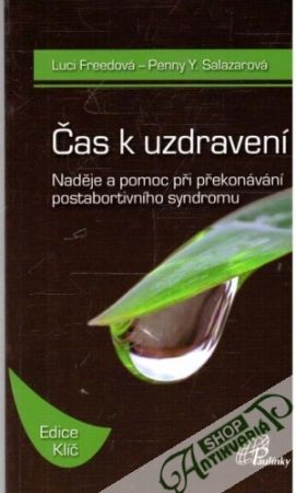 Čas k uzdravení - Freedová Luci, Salazarová Penny