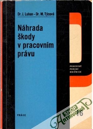 Náhrada škody v pracovním právu - Luhan J., Týcová M.