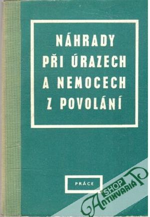 Náhrady při úrazech a nemocech z povolání - Kolektív autorov