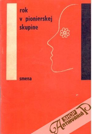 Rok v pionierskej skupine - Kolektív autorov