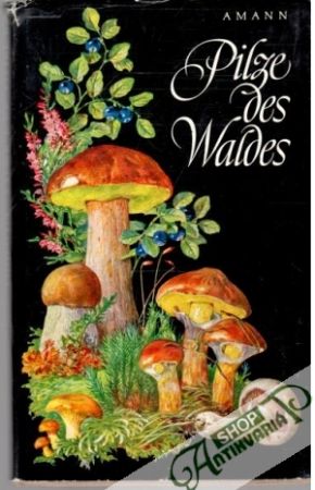 Pilze des Waldes - Amann Gottfried