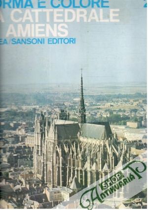Forma e colore - La Cattedrale di Amiens 25 - Gentile Giovanni
