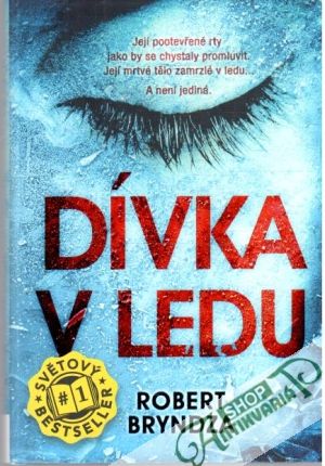 Dívka v ledu - Bryndza Robert