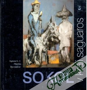 Koloman Sokol v kraji saguaros - Havranová Marína