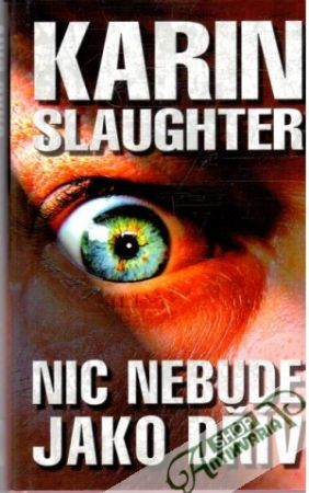 Nic nebude jako dřív - Slaughter Karin