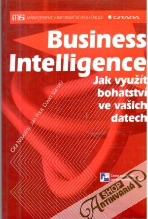 Business Intelligence - Novotný, Pour, Slánský