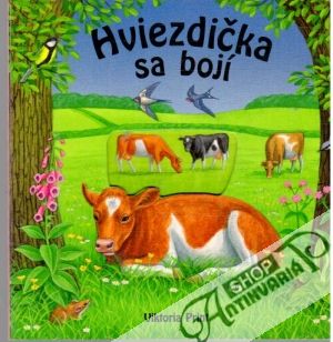 Hviezdička sa bojí - Kolektív autorov