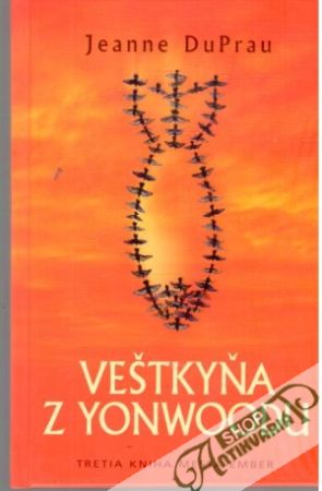 Veštkyňa z Yonwoodu - DuPrau Jeanne