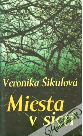 Miesta v sieti - Šikulová Veronika