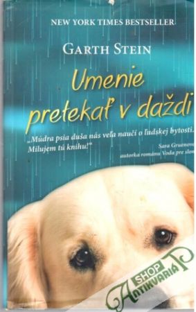 Umenie pretekať v daždi - Stein Garth
