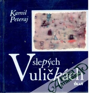 V slepých uličkách - Peteraj Kamil