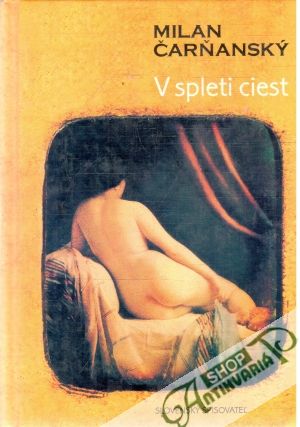 V spleti ciest - Čarňanský Milan