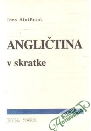 Angličtina v skratke - Kolektív autorov