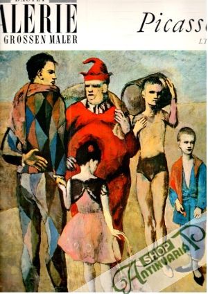 Picasso I.Teil - Kolektív autorov
