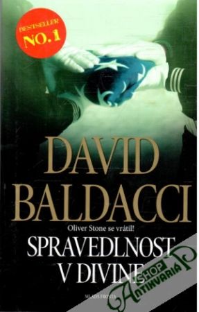 Spravedlnost v divine - Baldacci David
