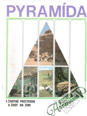 Pyramída 203 - Kolektív autorov