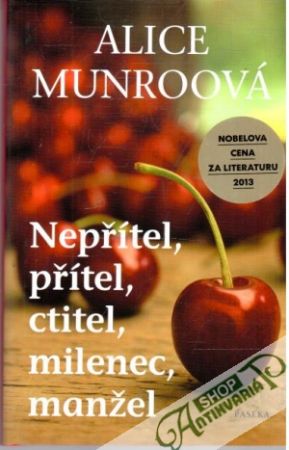 Nepřítel, přítel, ctitel, milenec, manžel - Munroová Alice