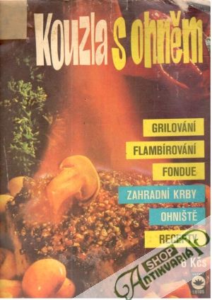 Kouzla s ohněm - Kolektív autorov