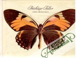 Prächtige Falter vom Amazonas - Koch Manfred