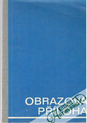 Obrazová příloha - moderní automobil v obrazech - Kolektív autorov