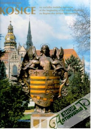 Košice na začiatku tretieho tisícročia - Jiroušek Alexander