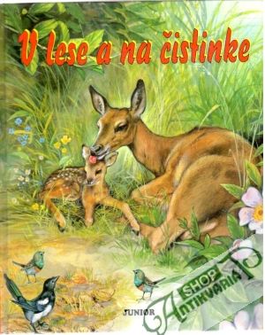 V lese a na čistinke - Hollá Marta