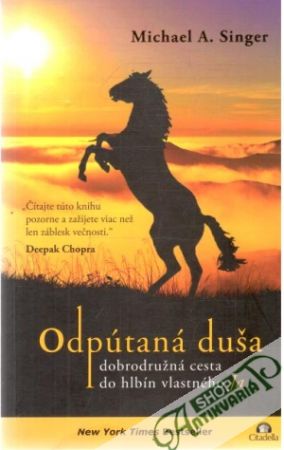 Odpútaná duša - Singer Michael A.