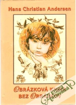 Obrázková kniha bez obrázkov - Andersen Hans Christian