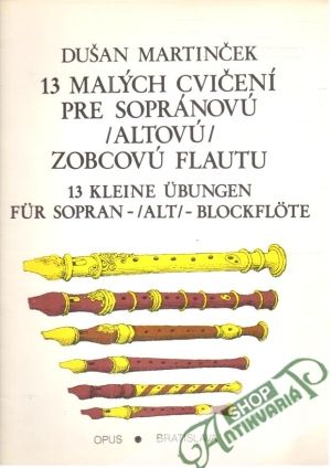 13 malých cvičení - Martinček Dušan