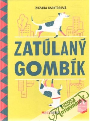 Zatúlaný gombík - Csontosová Zuzana