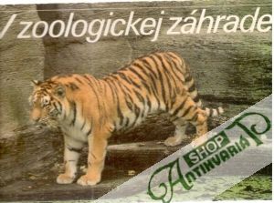 V zoologickej záhrade - Kolektív autorov