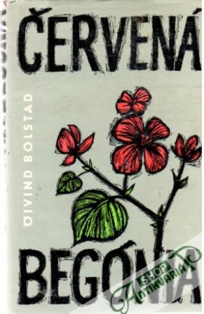 Červená begónia - Bolstad Oivind