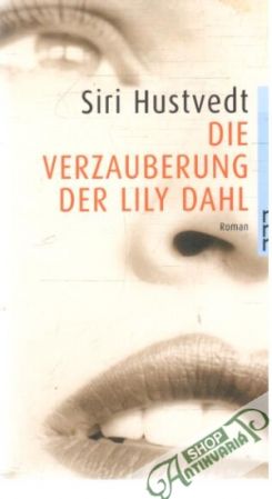 Die verzauberung der Lily Dahl - Hustvedt Siri