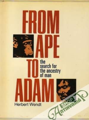 From Ape to Adam - The Search for The Ancestry of Man - Wendt Herbert