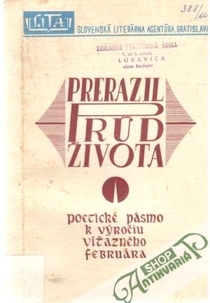 Prerazil prúd života - Hudík Pavol