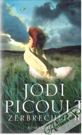 Zerbrechlich - Picoult Jodi