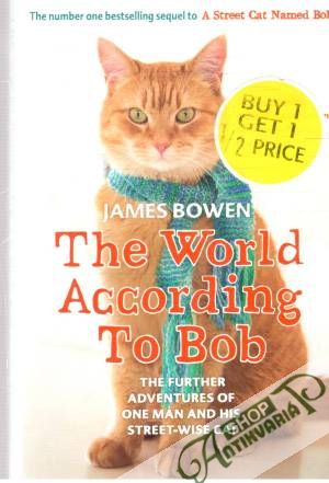 The world according to Bob - Bowen James