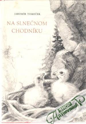 Na slnečnom chodníku - Tomeček Jaromír